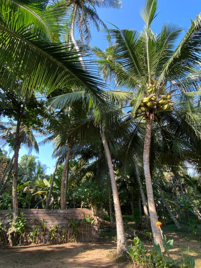 Mango Villa Hikkaduwa Exteriör bild